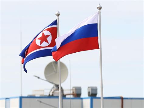 朝鲜外务省：俄朝友谊只会继续加强 - 2023年11月11日, 俄罗斯卫星通讯社
