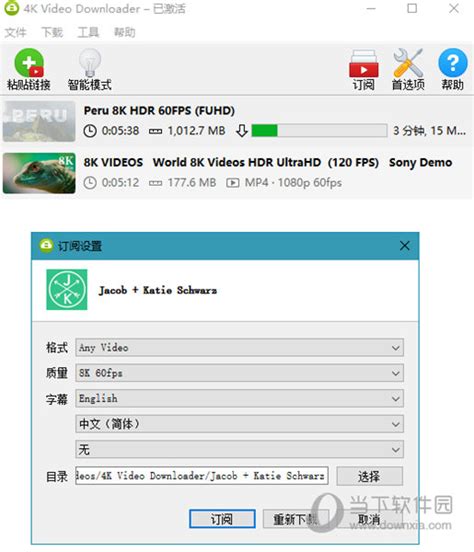 4K视频下载器 4K Video Downloader v4.30.1.5651/Plus-1.5.2.0077绿色便携版-PC软件库