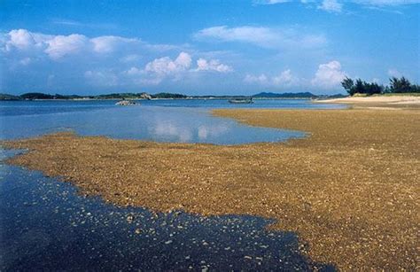 钦州茅尾海旅游攻略，广西钦州市哪里的海滩最好玩？