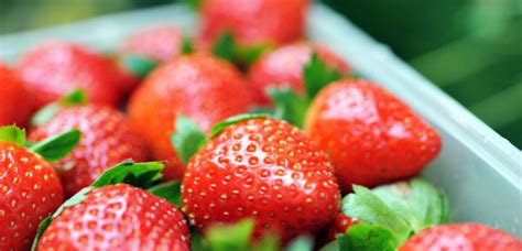 分享自制草莓酱！有幸买到10元6斤的草莓，虽然长得不好看，但是味道很正 - 吃喝玩购 - E滁州|bbs.0550.com - Powered ...