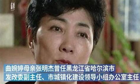 歌手曲婉婷母亲张明杰污案 现实版的人民的名义-搜狐大视野-搜狐新闻