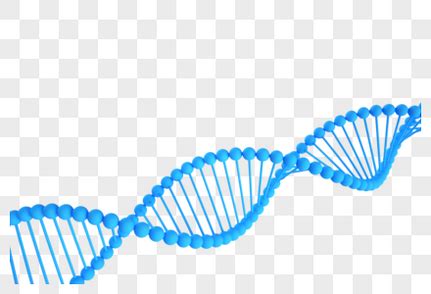 全基因组、基因组、基因，它们之间有什么关系？什么叫全基因组？什么叫全基因组学？ - 知乎
