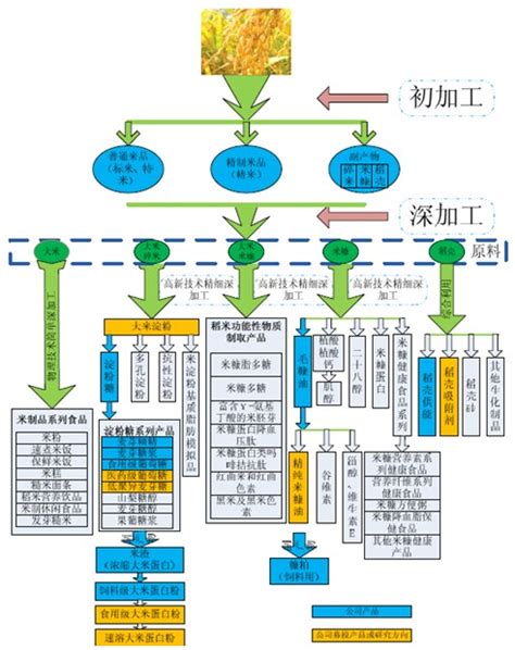 2018年中国大米行业发展现状分析 大米仍处于供过于求的状态【组图】_行业研究报告 - 前瞻网