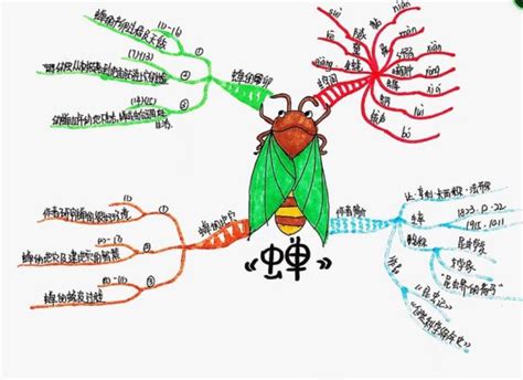 《昆虫记》思维导图|思维导图模板创意漂亮-TreeMind树图|shutu.cn