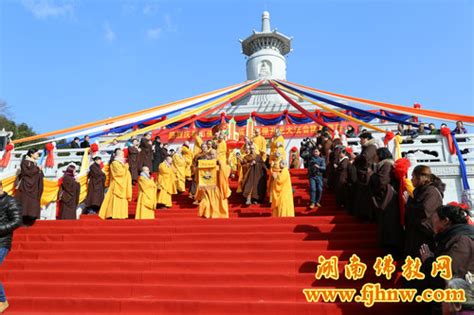 上海玉佛禅寺举行“佛法与人生”交流会 - 菩萨在线