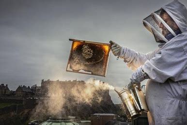 39296243-Picture: James Glossop The Times Apiarist Andrew McAllister of the Wee Bee Company ...