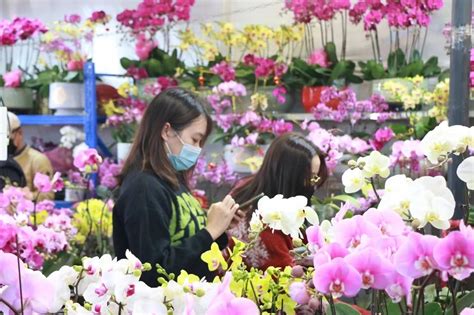广州芳村花卉市场明年中正式搬迁，未来将成为高档住区 - 本地资讯 - 装一网