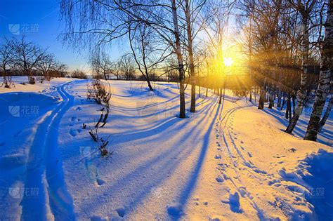 在一个寒冷、阳光明媚的冬天，房子和花园的树木被雪覆盖着，天空清澈、湛蓝照片摄影图片_ID:159411480-Veer图库