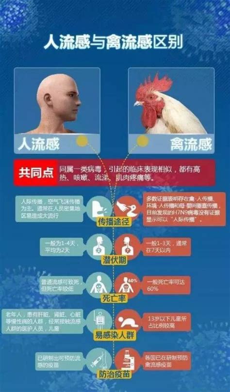 江西h7n9禽流感最新消息 人感染H7N9如何预防？-闽南网
