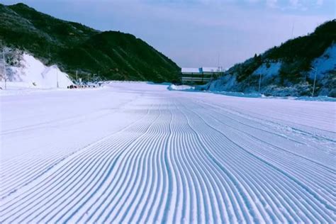 2023-2024雪季七星岭国际滑雪场开放时间和营业时间是什么时候_旅泊网
