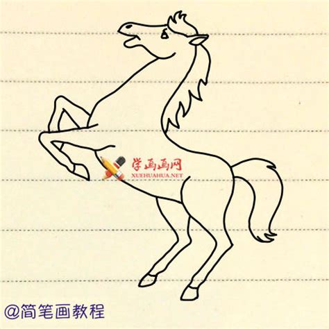 如何画马，马的简单画法步骤分解-普画网