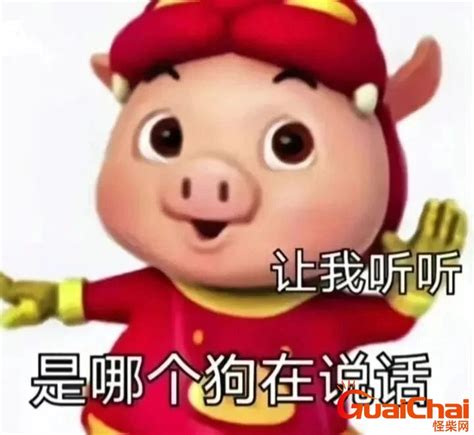 死猪表情包图片