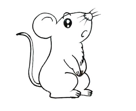 超萌的小老鼠简笔画图片 小老鼠怎么画- 老师板报网