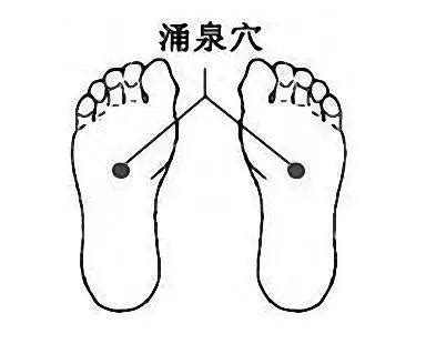 脚底对应的器官图图片 脚底对应的器官图图片