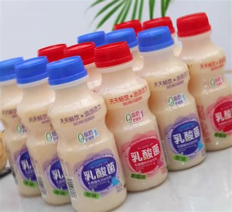 2023新品达利园乳酸菌风味饮品厂家直销批发牛奶饮品一件代-阿里巴巴