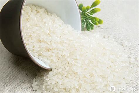 江苏山连山食品有限公司-大米、粳米粉、汤圆粉、糯米粉