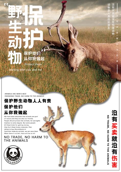 野生动物保护|平面|海报|夢與 - 临摹作品 - 站酷 (ZCOOL)