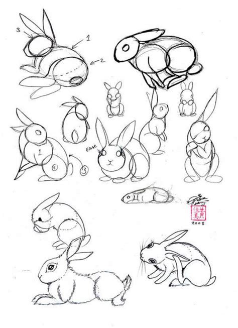 兔子简笔画手绘教程 小兔子怎么画？(2)[ 图片/5P ] - 才艺君