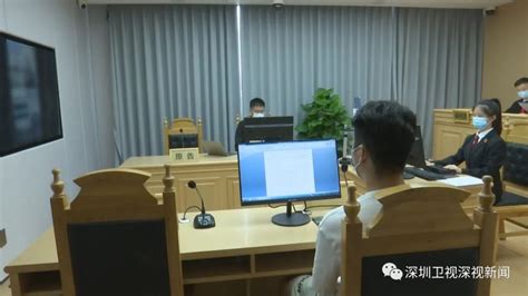 深圳涉外涉港澳台家事审判中心首宗跨境家事案件开庭！