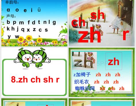 8、部编版汉语拼音zhchshrPPT-赞芽PPT
