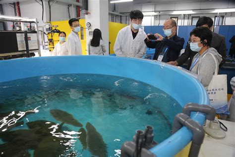 院渔业科技促进年活动系列报道（四）:科技创新支撑渔业可持续发展-中国水产科学研究院