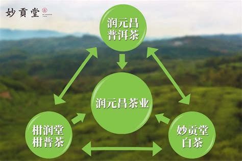 中国高端绿茶领导者—竹叶青的高端品牌之路|竹叶青|陈幼坚|绿茶_新浪新闻