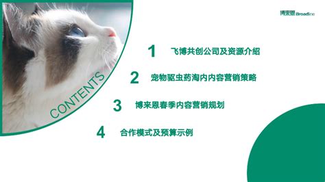 可爱宠物店营销活动策划PPT模板图片_PPT_编号13068974_红动中国