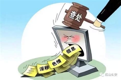 大学生卖淫秽视频100余万部获利3000多元 已被刑拘_荔枝网新闻
