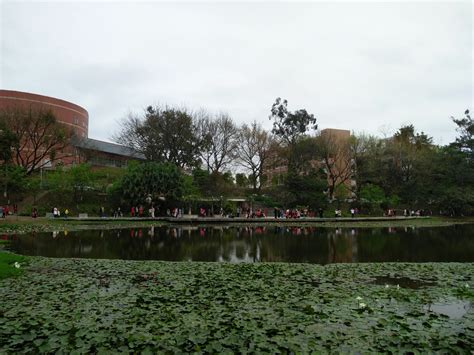2020华南农业大学湿地公园-旅游攻略-门票-地址-问答-游记点评，广州旅游旅游景点推荐-去哪儿攻略