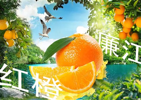 廉江 红橙宣传品设计作品-设计人才灵活用工-设计DNA