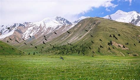 新疆伊犁旅游景点大全（伊犁旅游必去的几个景点） - 含鄱口