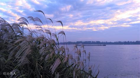 江边风景素材-江边风景模板-江边风景图片免费下载-设图网