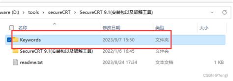 SecureCRT9.1中文破解版 32位&64位v9.1.1.2638 WIN - 易速科技