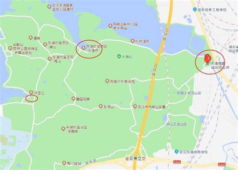 武汉东湖绿道二期森林公园西门景观设计文本-公园景观-筑龙园林景观论坛