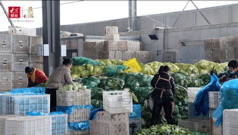 周公河农贸城与北京新发地开展合作对接-聊城兴农绿色农业发展有限公司