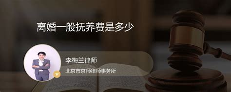 京师律师（律师行业）画册设计_艺之光设计彭青青-站酷ZCOOL