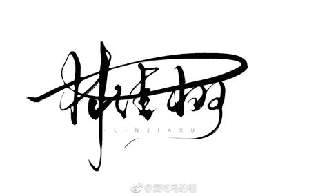 漂亮的艺术签名设计丨signature design works丨个性签_字酷Zicool-站酷ZCOOL