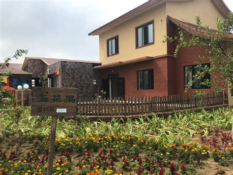 全国首个乡村未来社区学院在龙游溪口落地_衢州频道