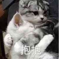 抱抱你表情包图片