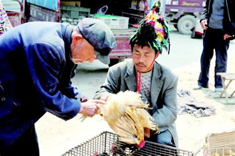 【理坑：买鸡和卖鸡的人