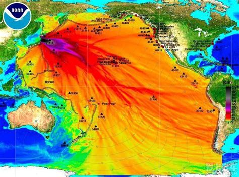 130万吨核废水排入大海！日本此次神操作，会给人类造成怎样后果|日本|海洋生物_新浪新闻
