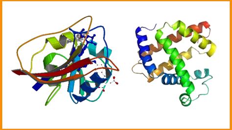 生成模型在蛋白质序列设计中的应用