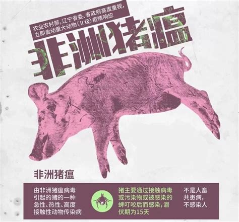 农业农村部关于印发《生猪产地检疫规程》和《生猪屠宰检疫规程》的通知 | 中国动物保健·官网