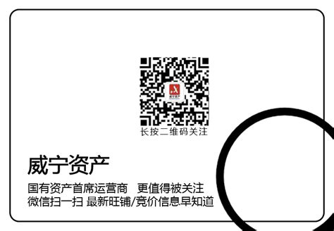 威宁资产公司2022年7月8日公开竞价标的信息-威宁投资集团