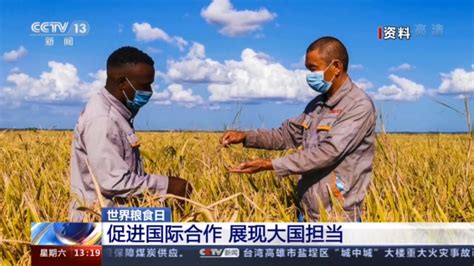展现大国担当 中国通过多种途径帮助发展中国家提高农业生产力-荔枝网
