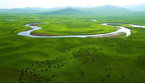 中国荒漠-草地生态系统观测研究野外站联盟
