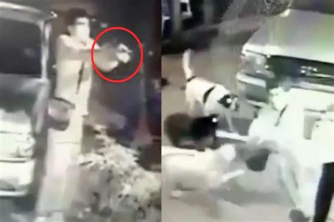 勇敢护主！监拍：泰国男子遭邻居持枪袭击 宠物狗护主攻击行凶者_凤凰网视频_凤凰网