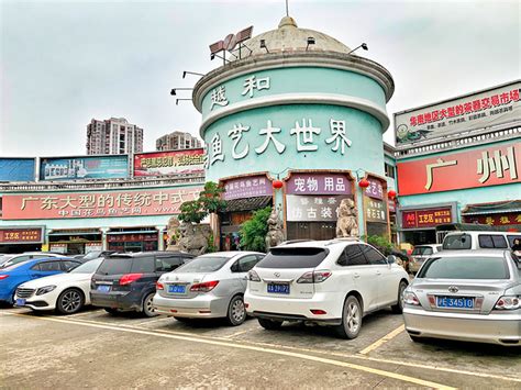 荔湾 | 芳村花鸟鱼虫市场迁址获“新生”，批发市场变旅游“打卡点”
