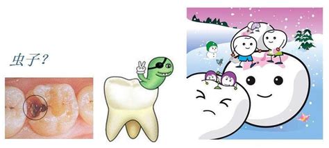 牙齿上的虫子图片