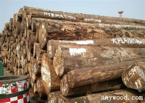 【广西木材市场】_广西木材市场品牌/图片/价格_广西木材市场批发_阿里巴巴